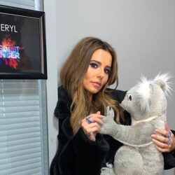 Cheryl (singer) Pets