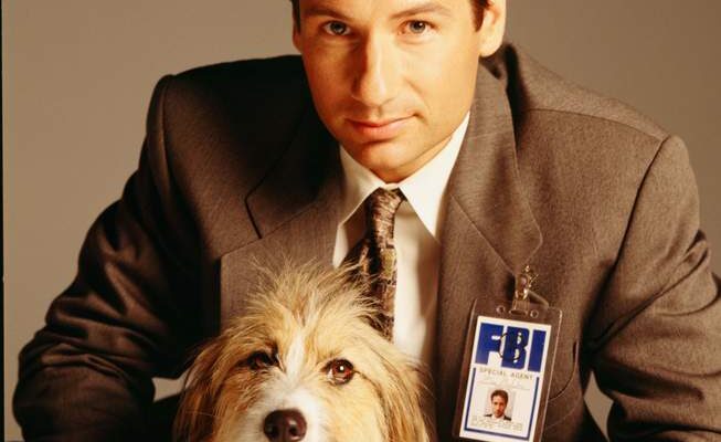 David Duchovny Pets