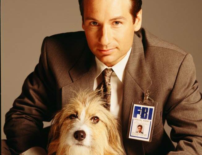 David Duchovny Pets