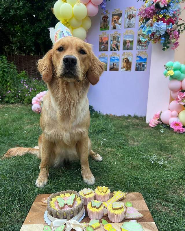 Faye Winter's dog Bonnie's first birthday party