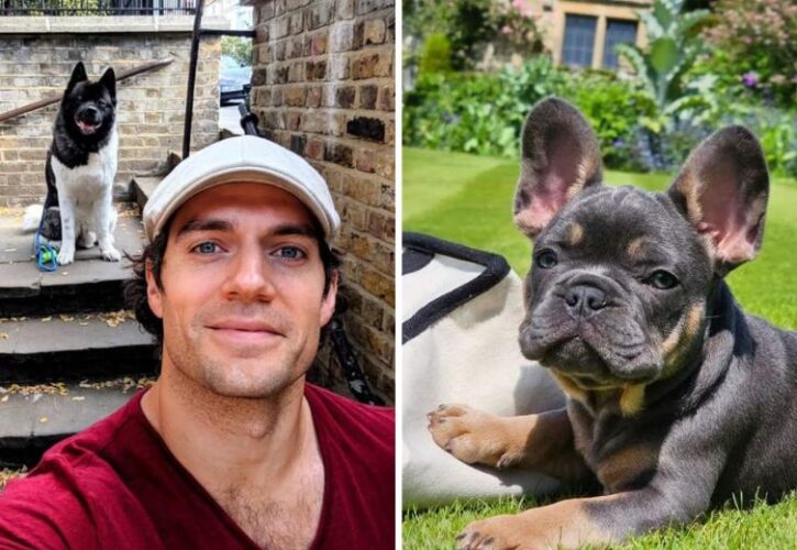 Henry Cavill Gets New French Bulldog Named Baggins, After the Loss of His 14-Year-Old Frenchie