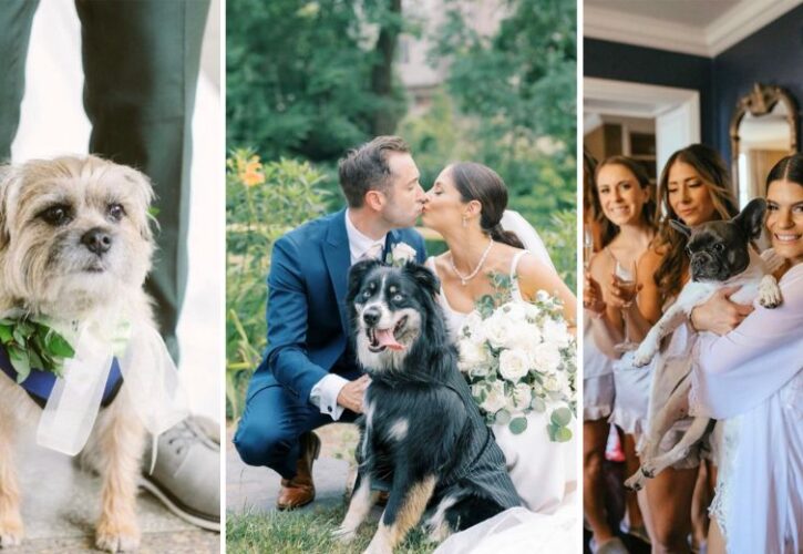 Interview With Bow Wow Weddings - The Canine Concierge for Your Big Day