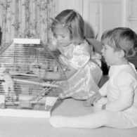 Caroline Kennedy's pet Bluebell and Maybelle