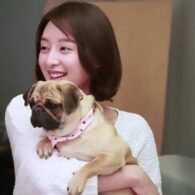 Kim Ji-won's pet Pug