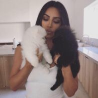 Kim Kardashian's pet Soba (Soy Sauce)