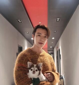 Donghae Pets