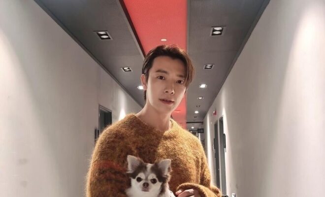 Donghae Pets