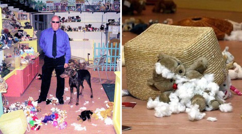 Meet Barney, the Bad Dog Behind the 2006 Teddy Bear Massacre