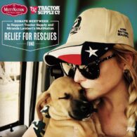 Miranda Lambert's pet Mutt Nation - Dog Adoption and Advocacy