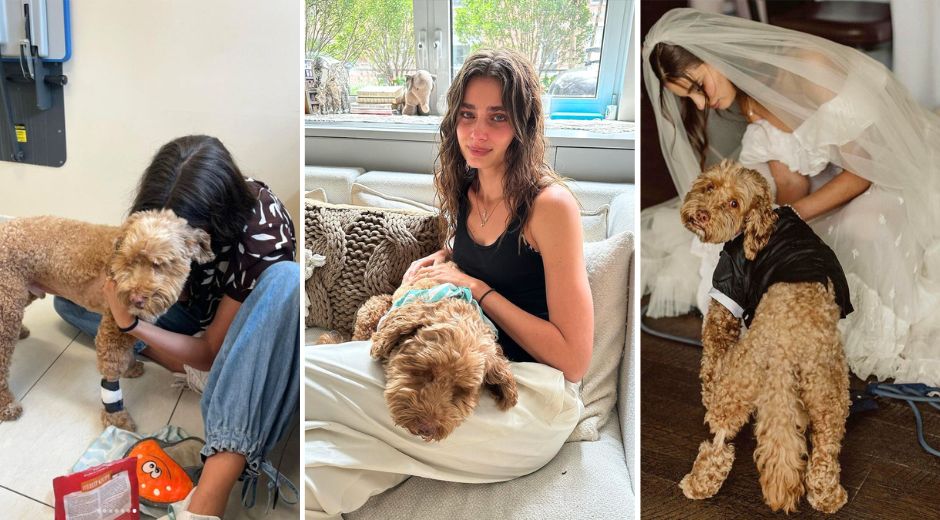 Model Taylor Hill Shares Death of Her Dog Tate After Cancer Battle