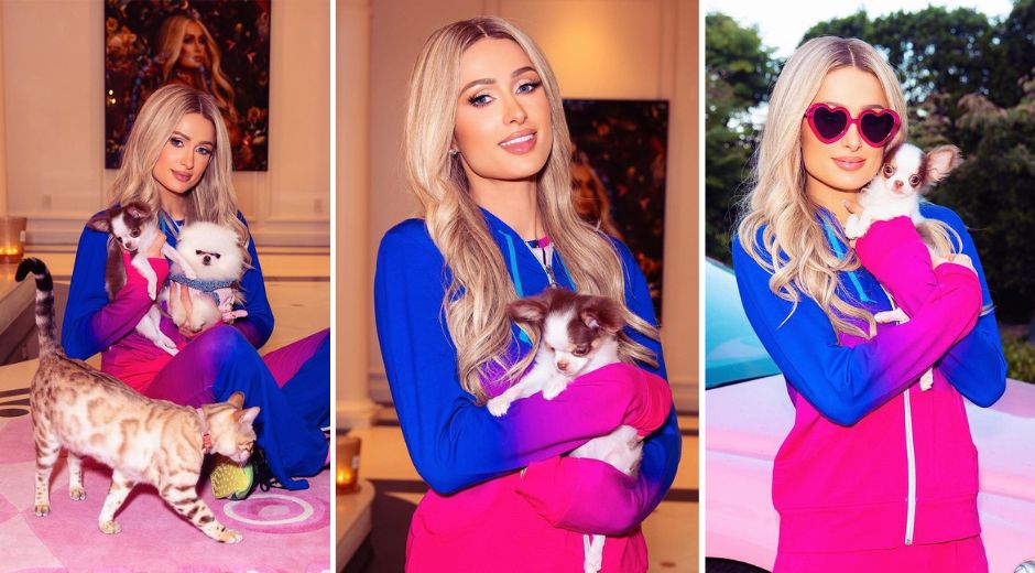 Paris Hilton Shows off New Chihuahua, Asks Fans To Help Her Name It