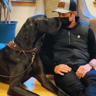 Patrick Dempsey's pet Dempsey Dogs - Cancer Support Pets