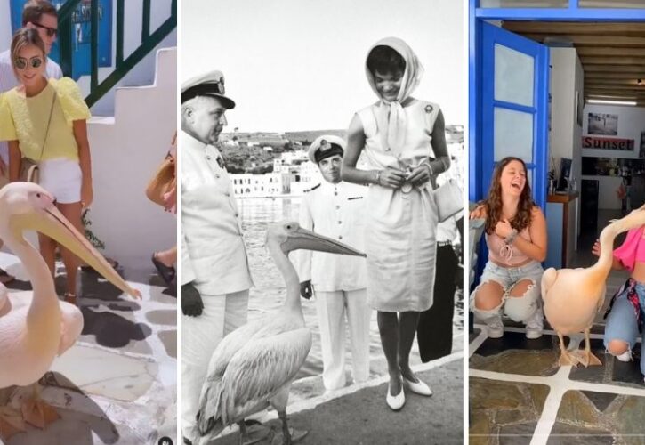 The 65-Year-Long Story of Petros, the Celebrity Pelican of Mykonos Greece