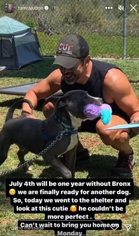 RHOC Tamra Judge instagram story of pitbull adoption
