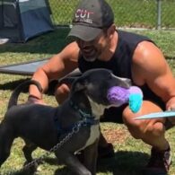 Tamra Judge's pet Rescue Pitbull