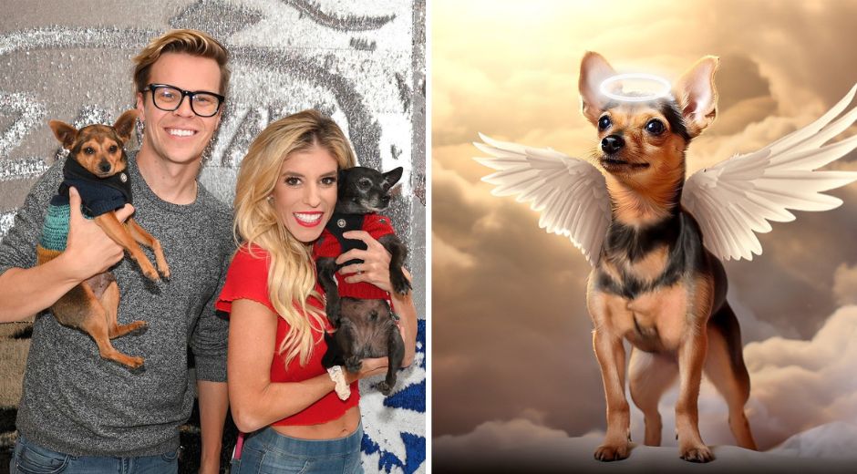 Youtubers Rebecca Zamolo and Matt Slays Mourn the Loss of Their Dog