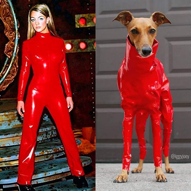 Britney Spears and Iggy Joey red latex jumpsuit