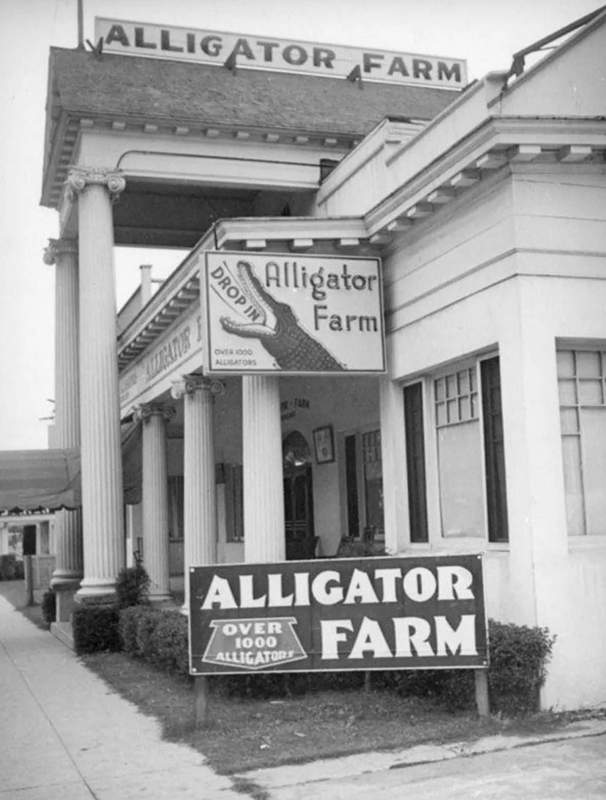 California Alligator farm
