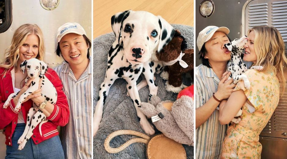 Jimmy O Yang and Brianne Kimmel get new Dalmatian puppy named Lucy