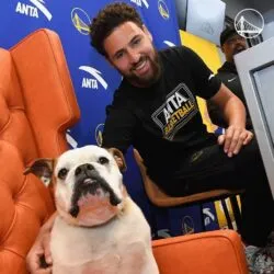 Klay Thompson Pets - Celebrity Pets
