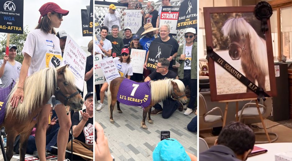 Lil Sebastian the Mini Horse Reunites with the “Parks and Rec” cast at ...