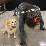 M. Shadows' pet Dog