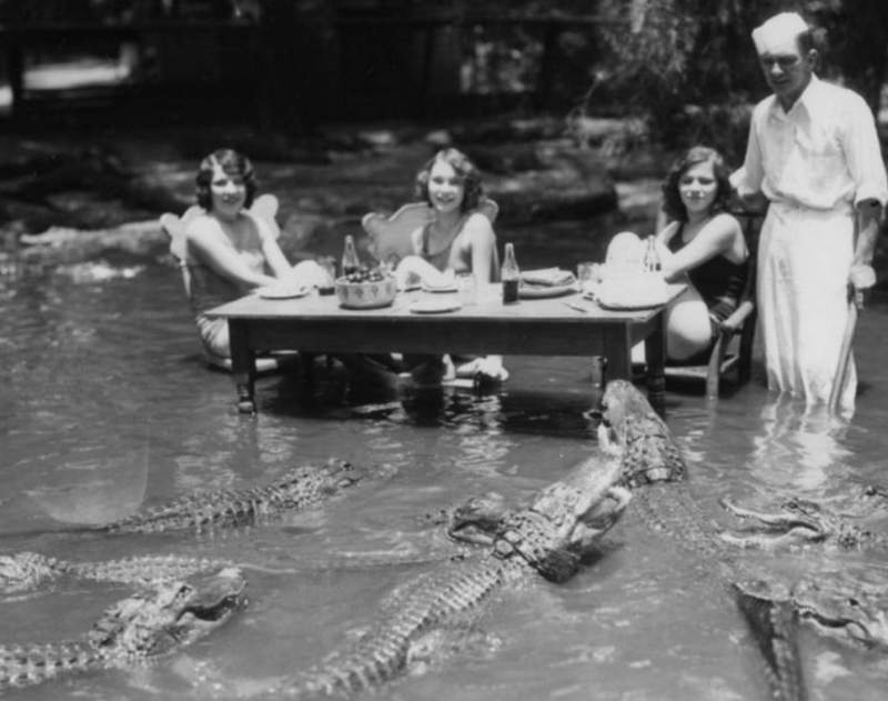 Picnic Lunch at the California Alligator Farm