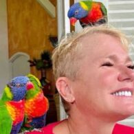 Xuxa's pet Parrots