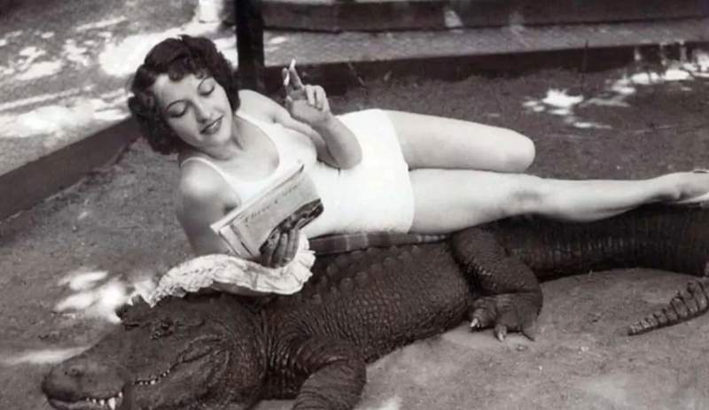 woman smoking and reading with an alligator at California Alligator Farm