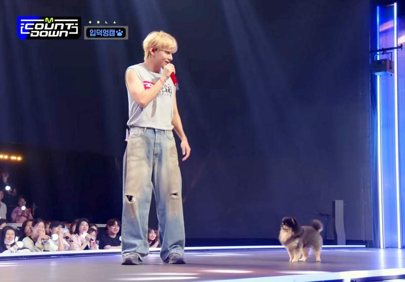 BTS V and dog Yeontan performing Slow Dancing