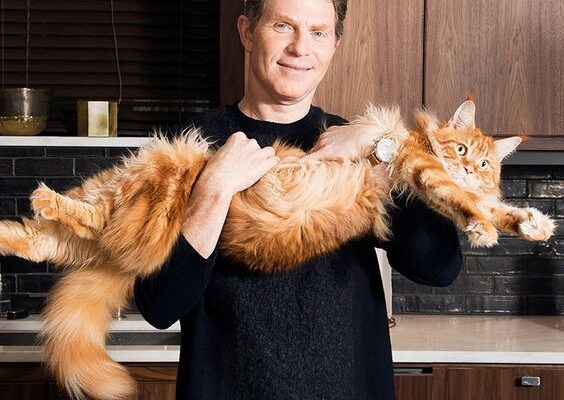 Bobby Flay Pets