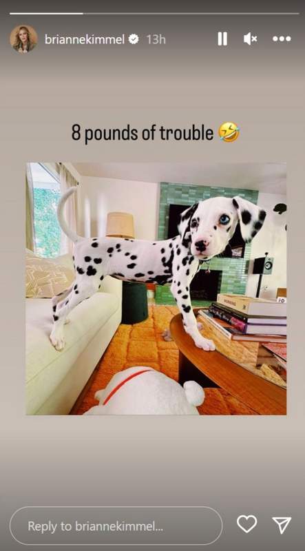 Brianne Kimmel Instagram story of dog Lucy