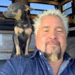 Guy Fieri Pets