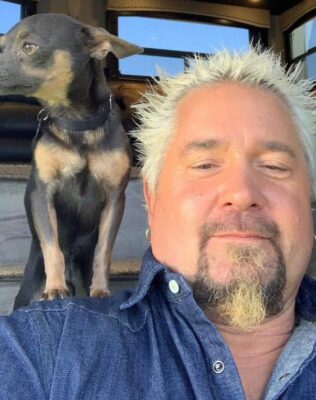 Guy Fieri Pets