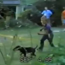 Travis Kelce Pets - Celebrity Pets