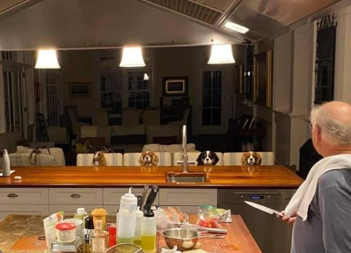 Jimmy Buffett making his dogs dinner