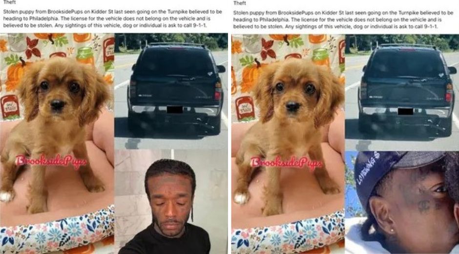 Lil Uzi Vert photo used as the suspect in a dog theft crime