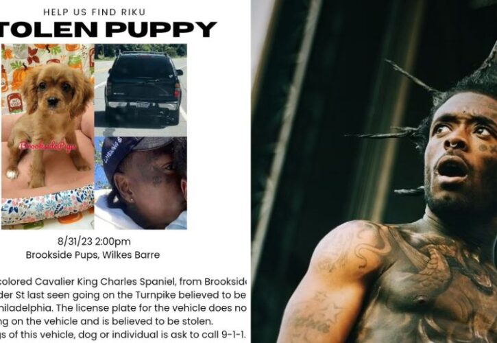 Rapper Lil Uzi Vert Accused of Stealing a Puppy from a Pet Store