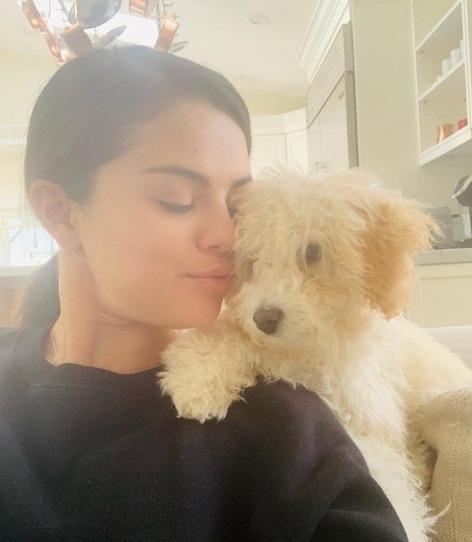 Selena Gomez rescue poodle Winnie