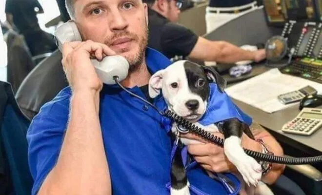 Tom Hardy Pets