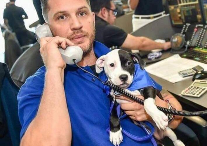 Tom Hardy Pets