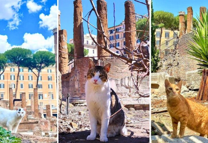 These Ancient Roman Ruins Are Now a Cat Sanctuary