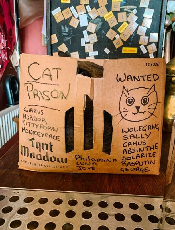 cat prison at Bag O Nails Cat Pub Bristol