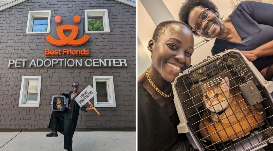 Actress Lupita Nyong’o Overcomes Fear and Adopts Her First Cat