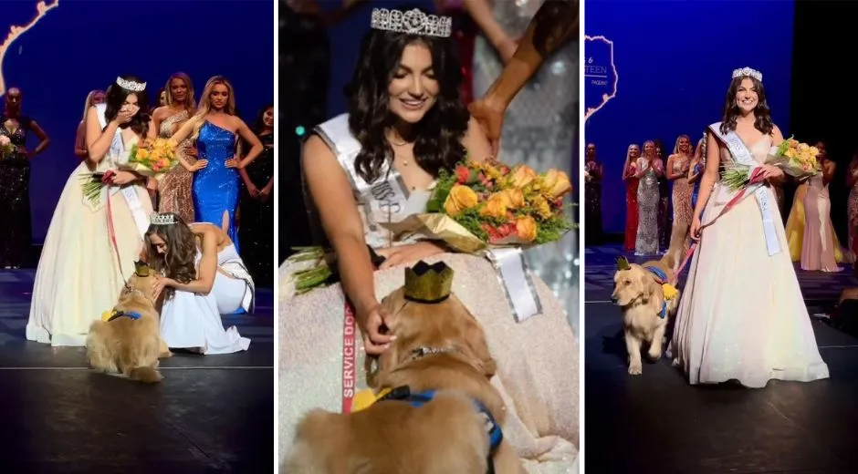 Brady the Service Dog Won the Miss Dallas Teen Pageant! Celebrity Pets