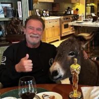 Arnold Schwarzenegger's pet Lulu the Mini Donkey