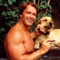 Arnold Schwarzenegger's pet Labradors