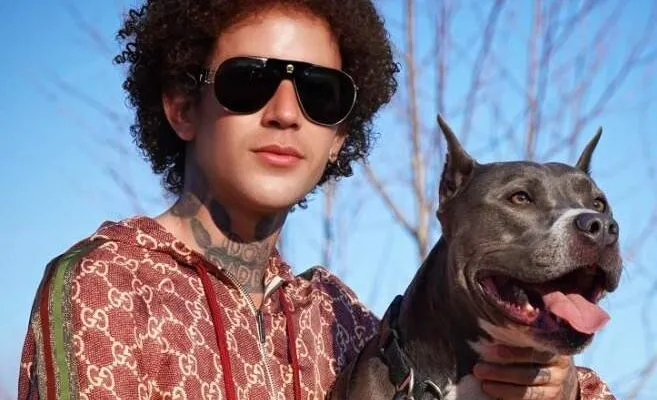 Augusto Deoliveira (Dog Daddy) Pets