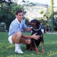 Ayrton Senna's pet Doberman-Mix