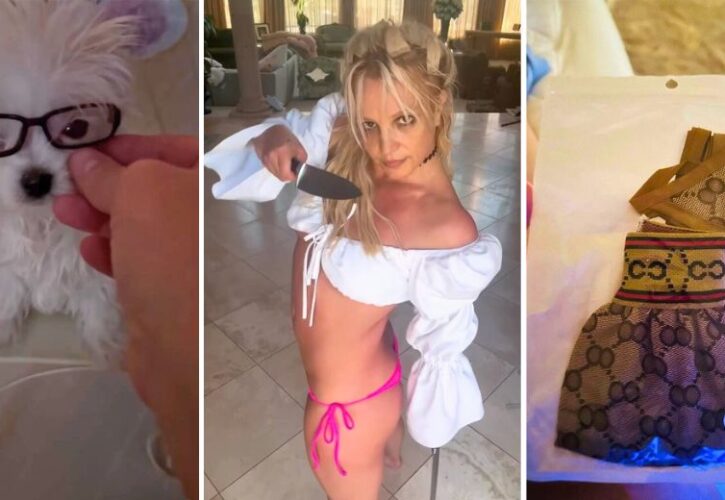 Britney Spears Gets Her Puppy Snow a Cute Gucci Bikini, Dress, and Glasses
